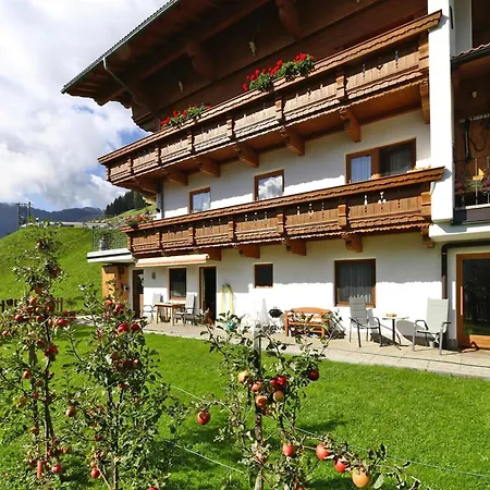 Apartment In Hippach Near Horbergbahn, Cleaning Included *